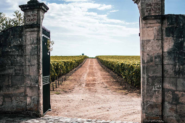 Franse wijnen: een uitzonderlijke wijnervaring